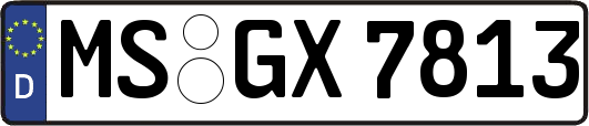 MS-GX7813