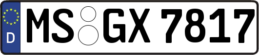 MS-GX7817