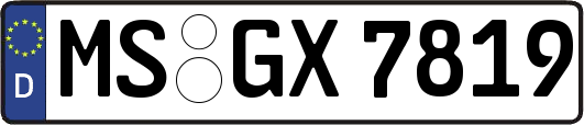 MS-GX7819