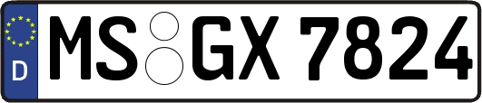 MS-GX7824