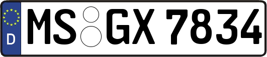 MS-GX7834