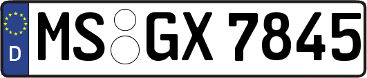 MS-GX7845