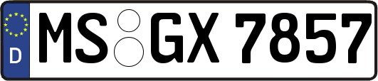 MS-GX7857