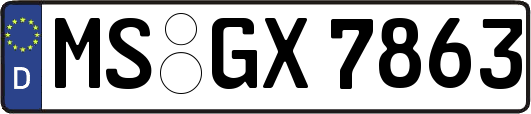 MS-GX7863