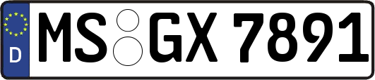 MS-GX7891