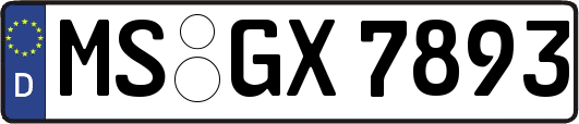 MS-GX7893