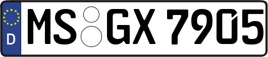 MS-GX7905