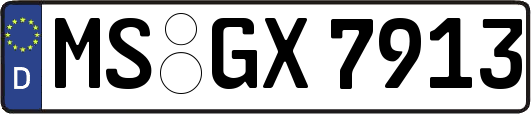 MS-GX7913
