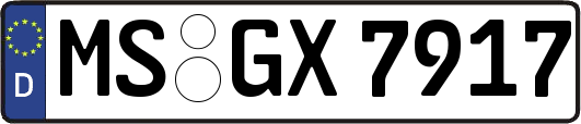 MS-GX7917