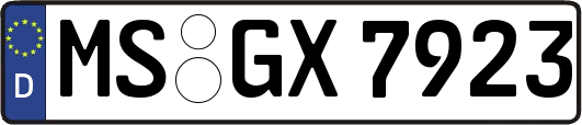 MS-GX7923