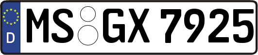 MS-GX7925