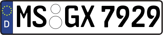 MS-GX7929