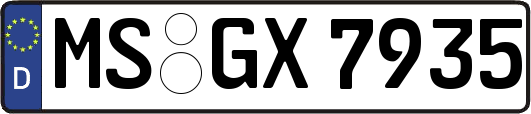MS-GX7935
