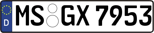 MS-GX7953