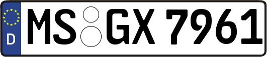 MS-GX7961