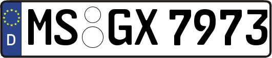 MS-GX7973