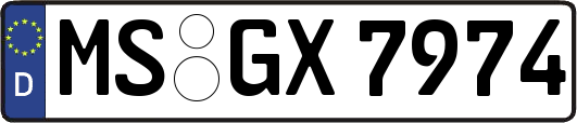 MS-GX7974