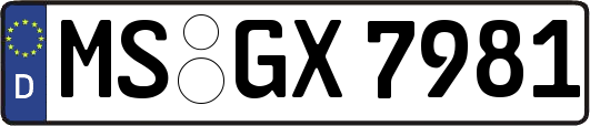 MS-GX7981