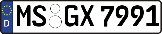 MS-GX7991