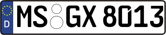 MS-GX8013