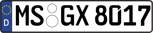 MS-GX8017