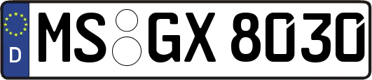 MS-GX8030