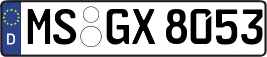 MS-GX8053