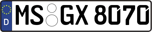MS-GX8070