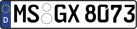 MS-GX8073