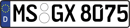 MS-GX8075