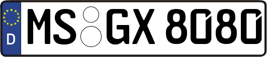 MS-GX8080