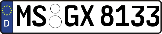 MS-GX8133