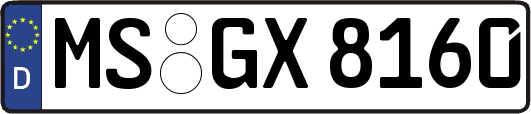 MS-GX8160