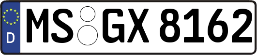 MS-GX8162