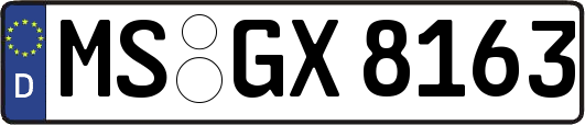 MS-GX8163