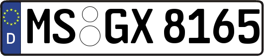 MS-GX8165