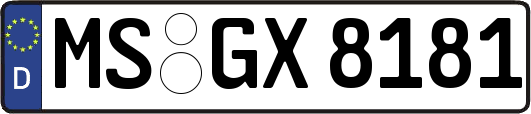 MS-GX8181