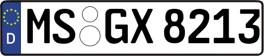 MS-GX8213