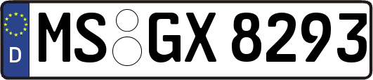 MS-GX8293