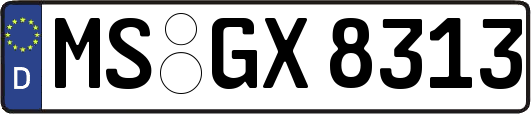 MS-GX8313