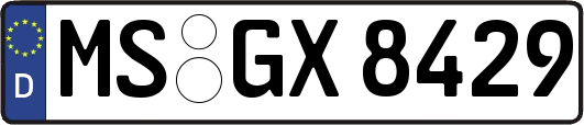 MS-GX8429