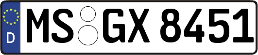 MS-GX8451