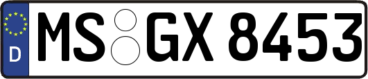 MS-GX8453