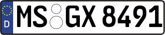 MS-GX8491