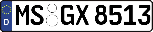 MS-GX8513