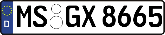 MS-GX8665