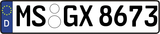 MS-GX8673