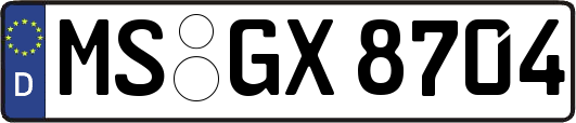 MS-GX8704