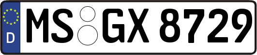 MS-GX8729