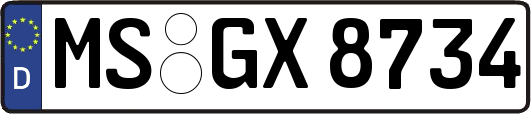 MS-GX8734